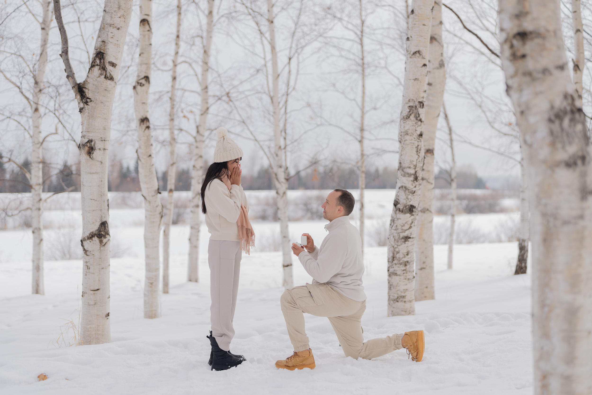Proposal Basic